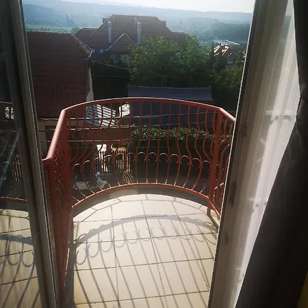 Zold Solyom Apartman Homestay *
